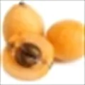 Japanese Loquat